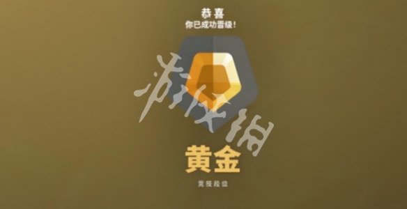 网6