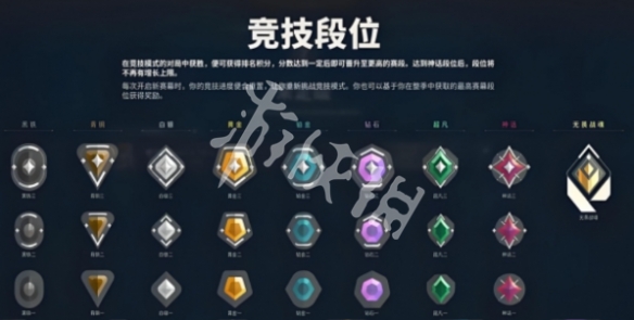 网2