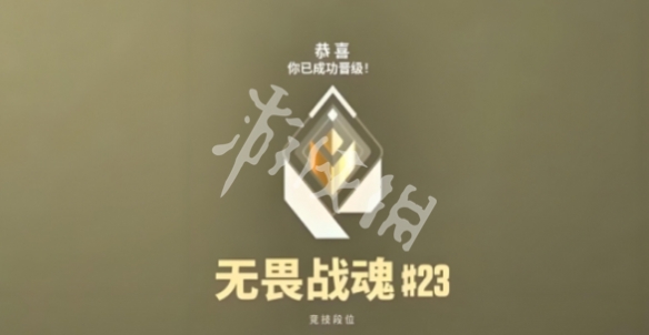 网11
