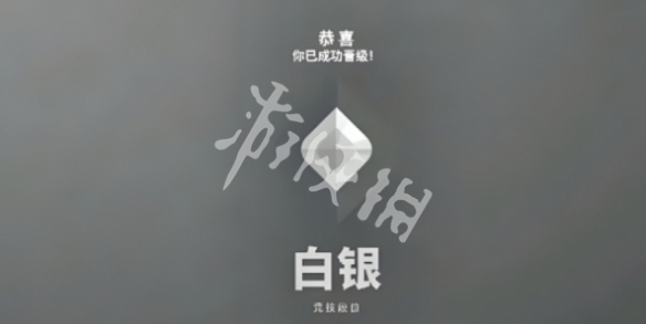 网5