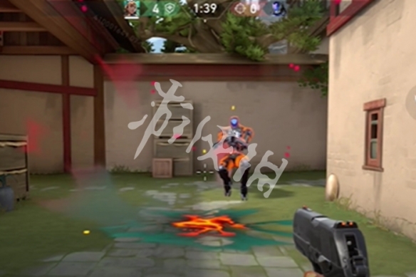 网3