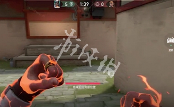 网5