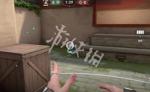 网5