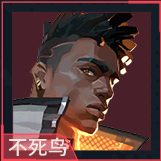 网4