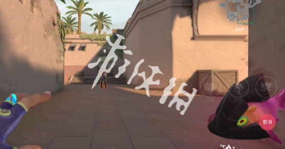 网5