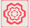 网5