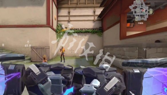 网2