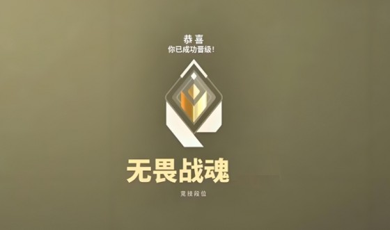 网2