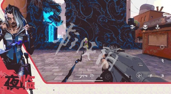 网5