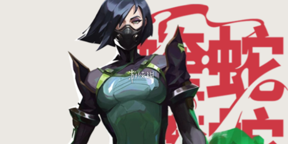 网1
