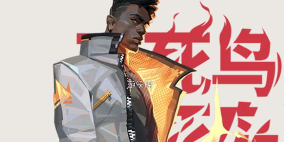 网1